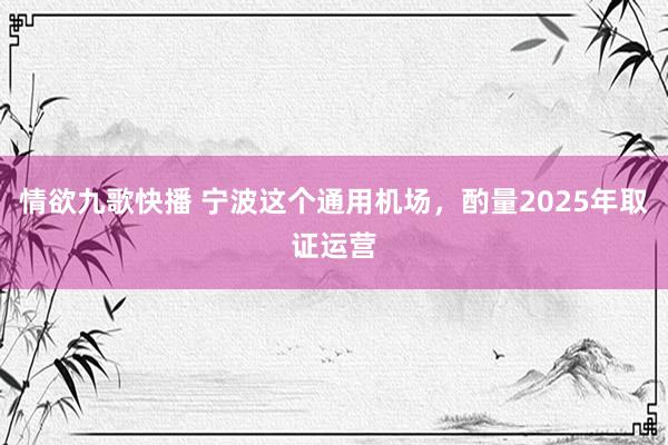 情欲九歌快播 宁波这个通用机场，酌量2025年取证运营