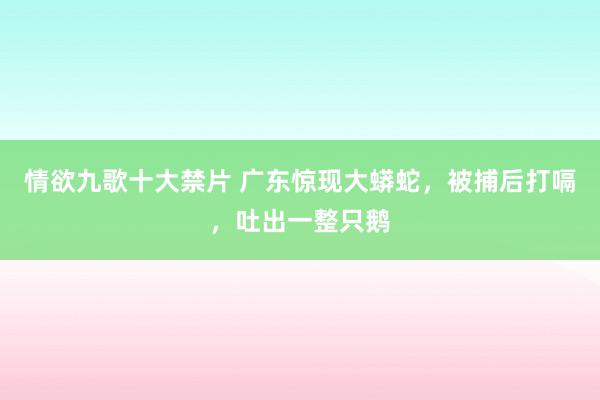 情欲九歌十大禁片 广东惊现大蟒蛇，被捕后打嗝，吐出一整只鹅